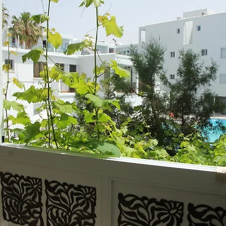 Molos Apartment Paphos